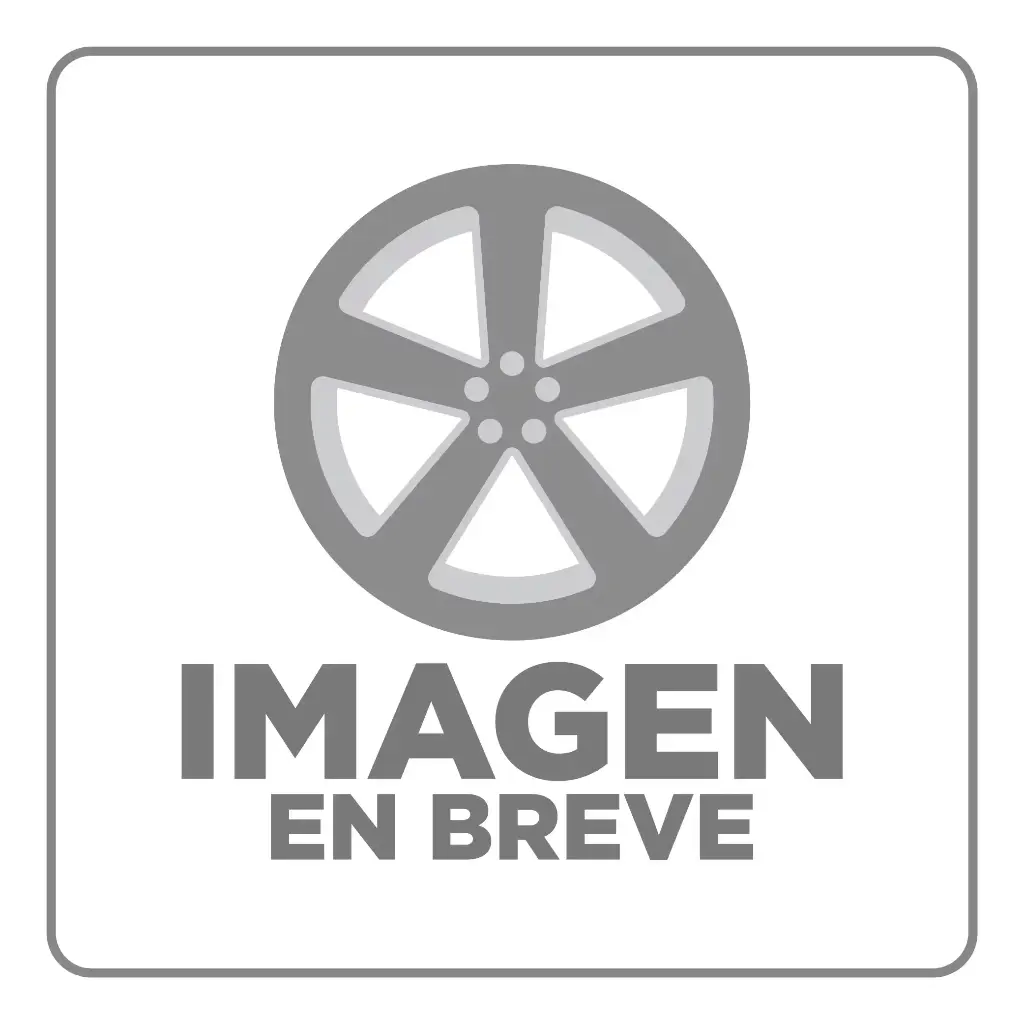 [888] TAPAS PARA RIN